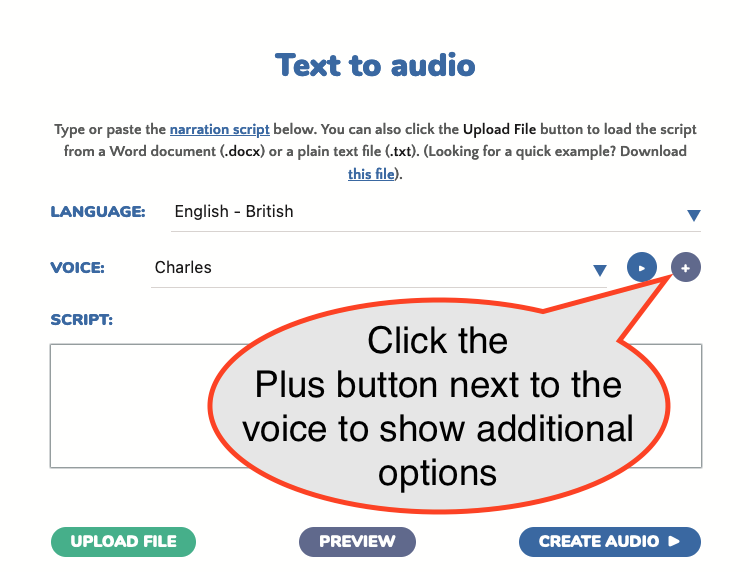 Text to Speech additional options
