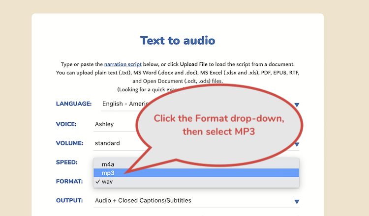 Select MP3 from the format box to make text to speech MP3 files