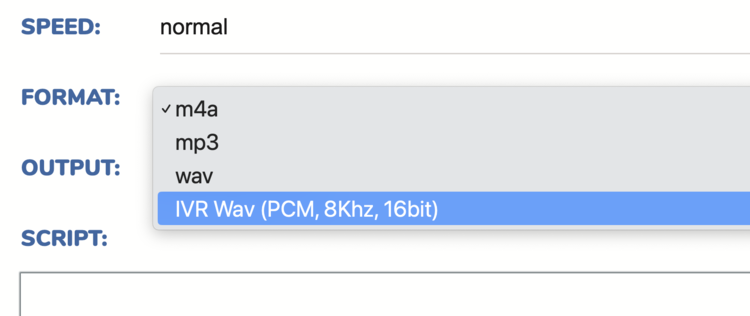IVR WAV format option