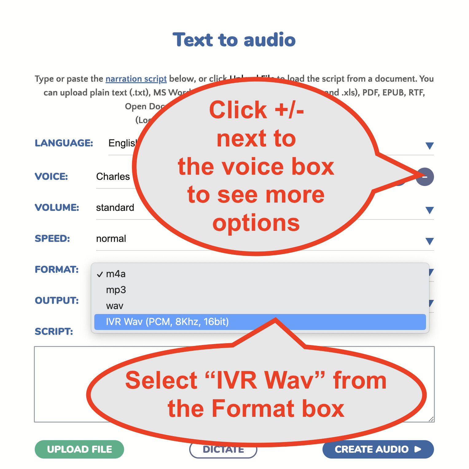 select IVR wav from audio format options
