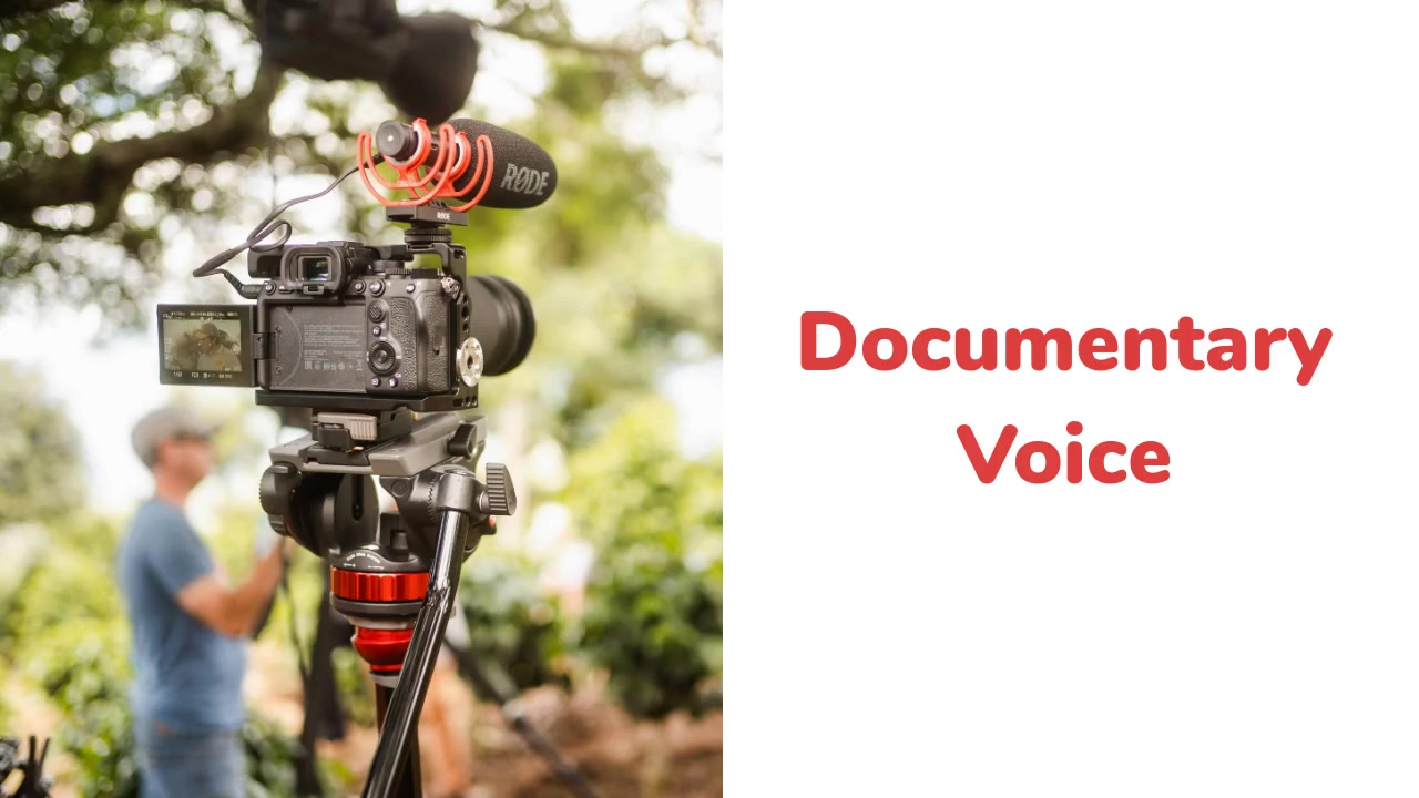 Documentary Voice